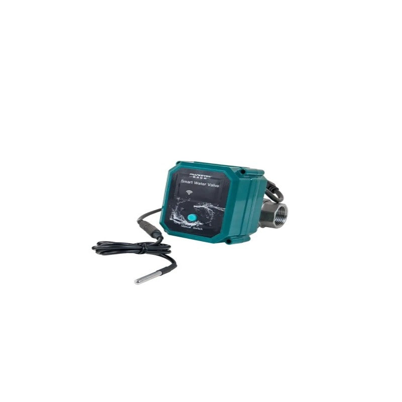 FrankEver Smart water valve DN25