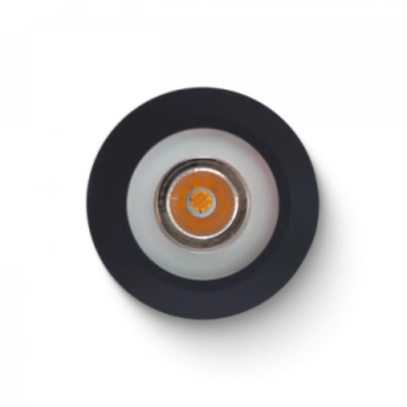 LED Spot RGBW Tree Anthracite Loxone