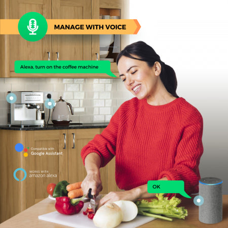 Set 2 prize inteligente Nous A1, Wi-Fi, 15A/3450W, Monitorizare energie , control vocal, compatibil Google Assistant, amazon alexa
