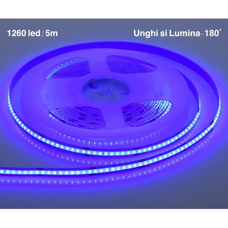 BANDA COB LED ALBASTRU - FLEXIBIL - 252LED/M - 12W/ML - ROLA/5M - hsmartro