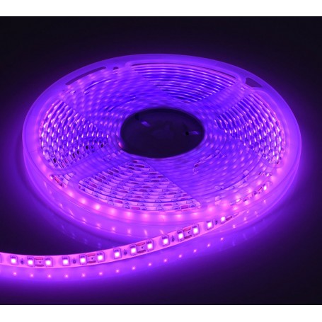 BANDA LED 2835 - ROZ-PINK 120LED/M, EX-IP65 ROLA/5M