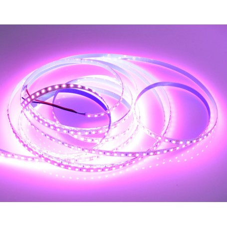 BANDA LED 2835 - ROZ-PINK 120LED/M, IP20 - ROLA/5M
