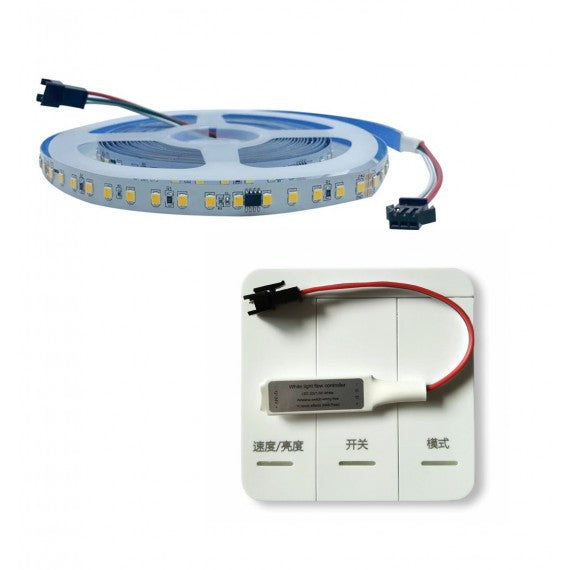 Kit Banda LED Dream Monocrom Digital 10m 24V Dinamica